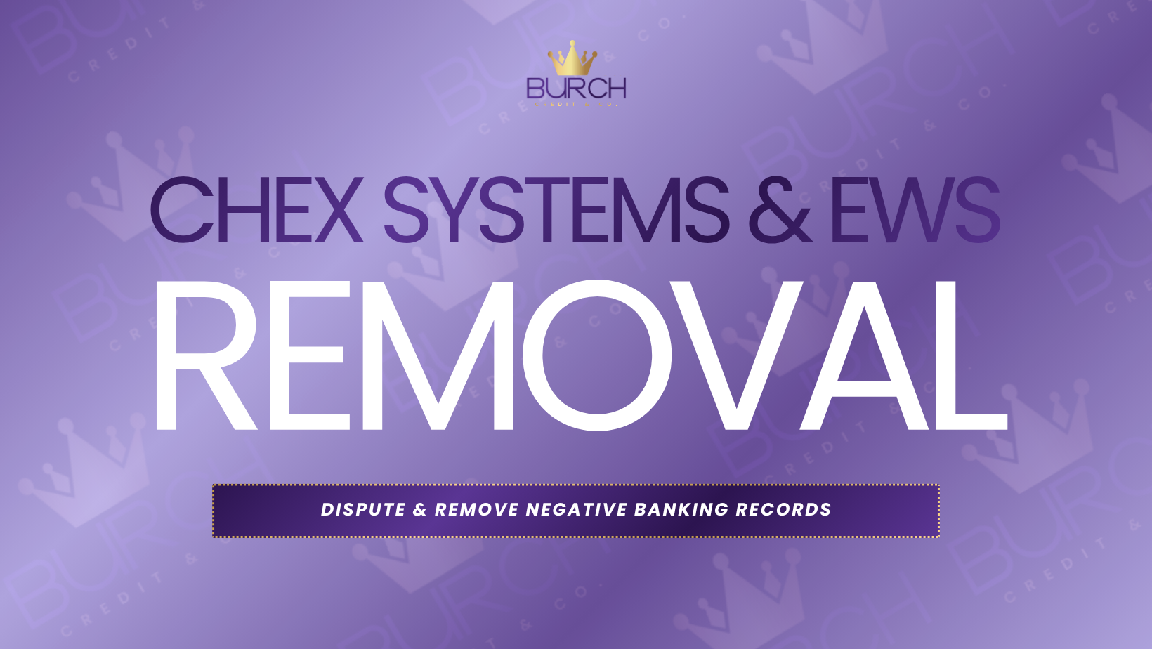 Credit dispute assistance service for ChexSystems and banking record removal